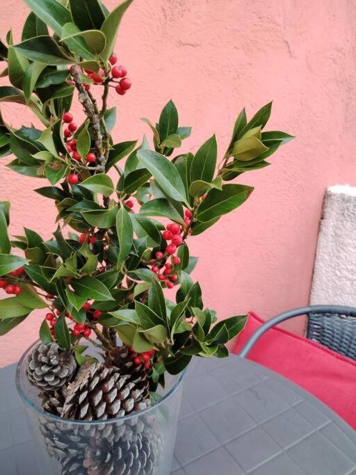Le Petit Charrier Apartamento Aix-en-Provence Exterior foto